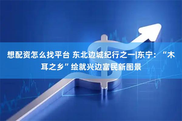 想配资怎么找平台 东北边城纪行之一|东宁：“木耳之乡”绘就兴边富民新图景