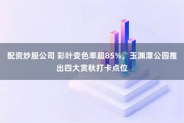 配资炒股公司 彩叶变色率超85%,玉渊潭公园推出四大赏秋打卡点位