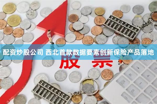 配资炒股公司 西北首款数据要素创新保险产品落地