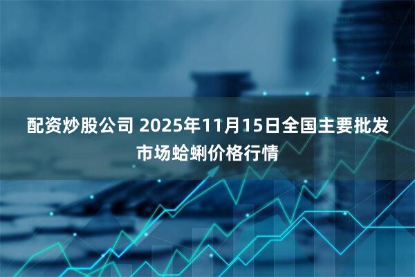 配资炒股公司 2025年11月15日全国主要批发市场蛤蜊价格行情