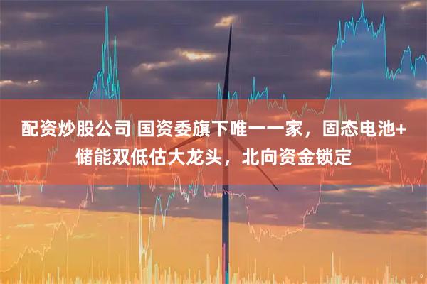 配资炒股公司 国资委旗下唯一一家，固态电池+储能双低估大龙头，北向资金锁定